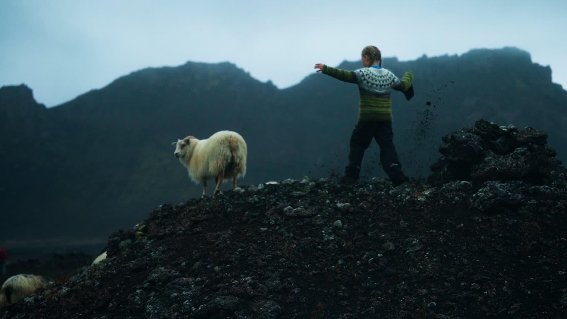 Fjallferð