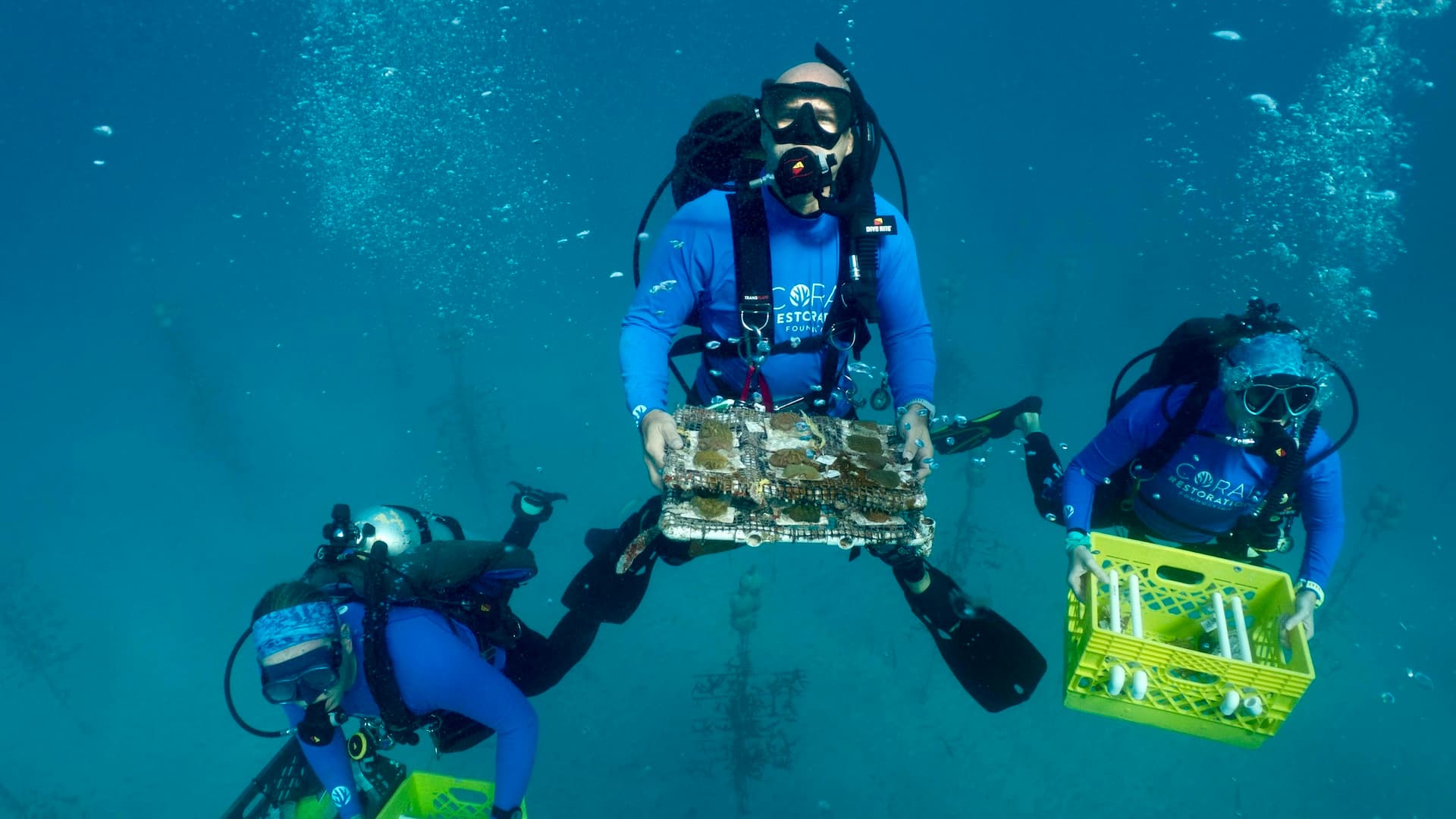 The Coral Rescuers